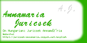 annamaria juricsek business card